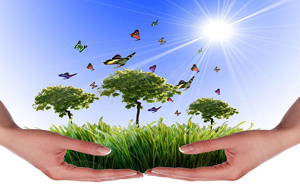 木薯渣烘干設備生產(chǎn)線結(jié)構由哪些部分組成 木薯渣烘干設備生產(chǎn)線結(jié)構由哪些部分組成